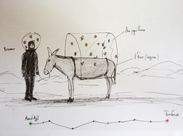 Bruno, l’âne et les papillons