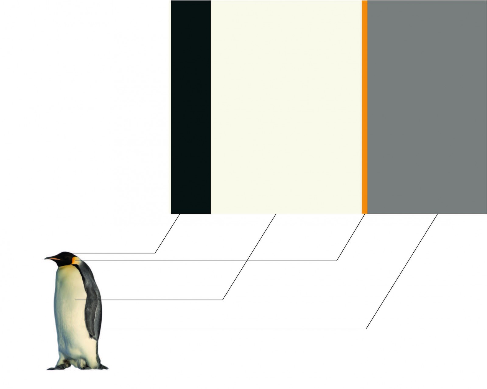 Un drapeau pour l'Antarctique